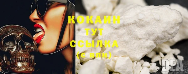 крисы Баксан
