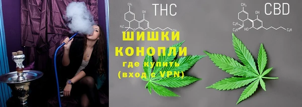 apvp Балахна