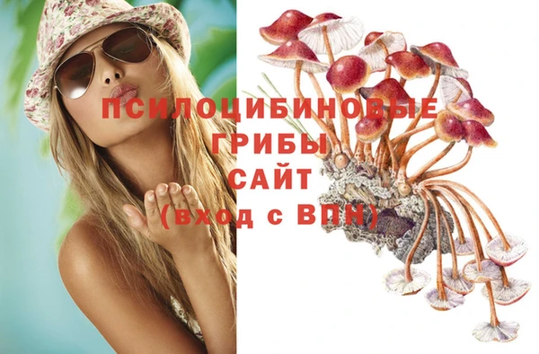 крисы Баксан