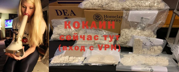 крисы Баксан