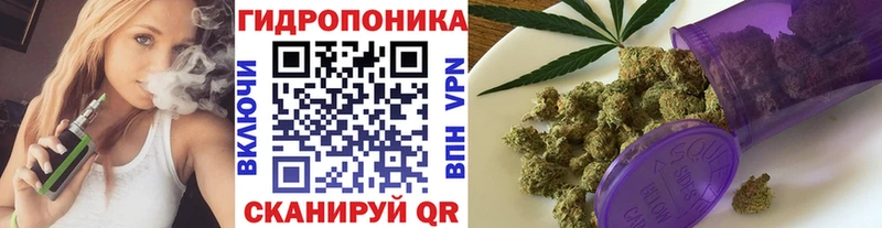 Купить закладки  Новоржев  Шишки марихуана LSD WEED 